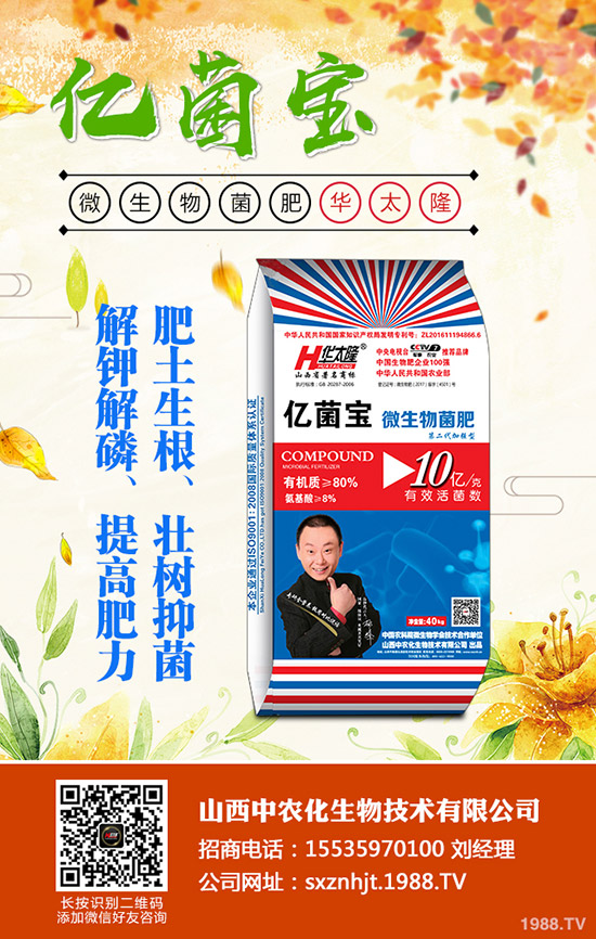     ���@�r(ji��)���Դ�С���»����g��2019��12�µ�������@���������