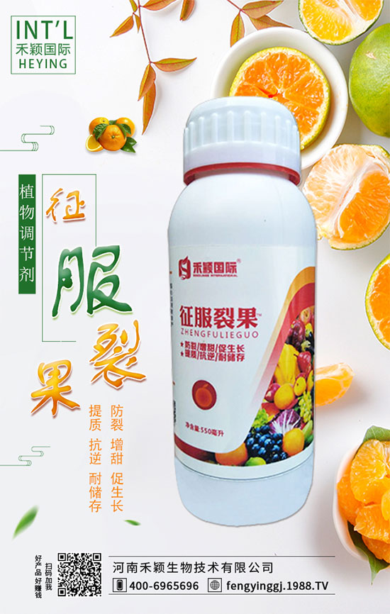 ľ����ʲô�r�g�Nֲ��ľ���˷Nֲ������