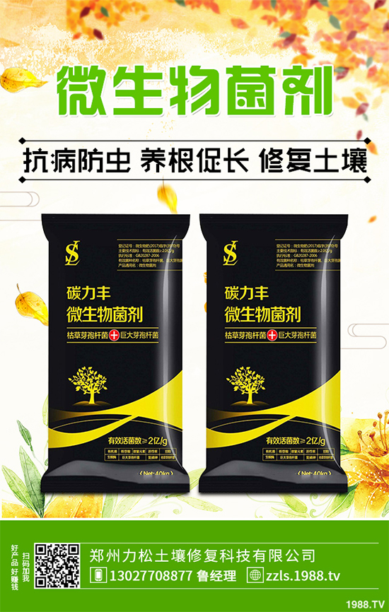 �Nֲʲôˎ����ٍ�X��2020����ˎ�ķNֲǰ������