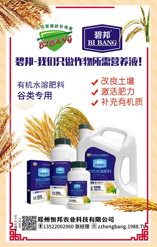 ����������Щ��̎������Ĺ�Ч���ü�ʳ�ý���