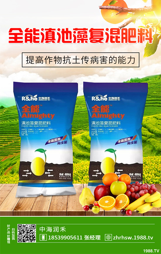 ���r����͸���������Щ�^(q��)�e���ǂ�Ч�����ã�