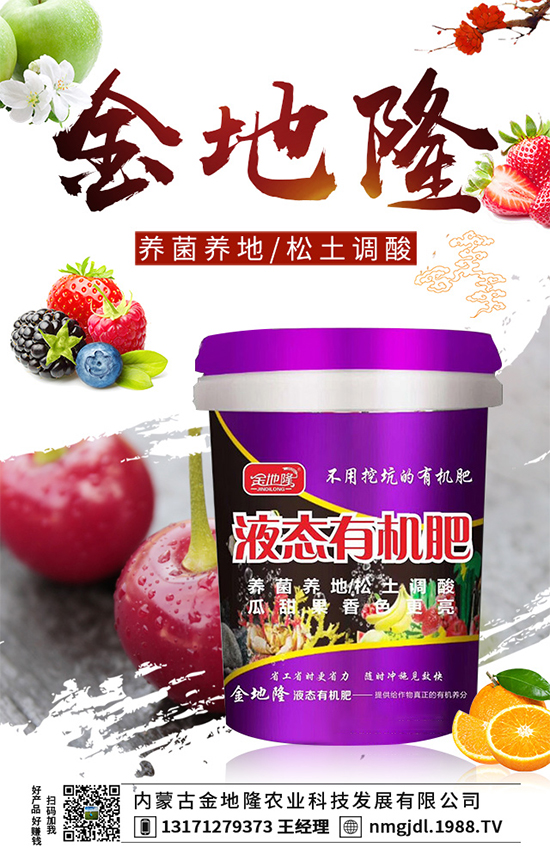 木耳菜多少錢一斤?2020木耳菜種植前景如何?(附種植技術)