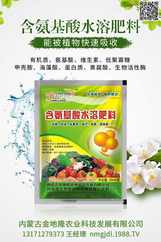 木耳菜多少錢一斤?2020木耳菜種植前景如何?(附種植技術)