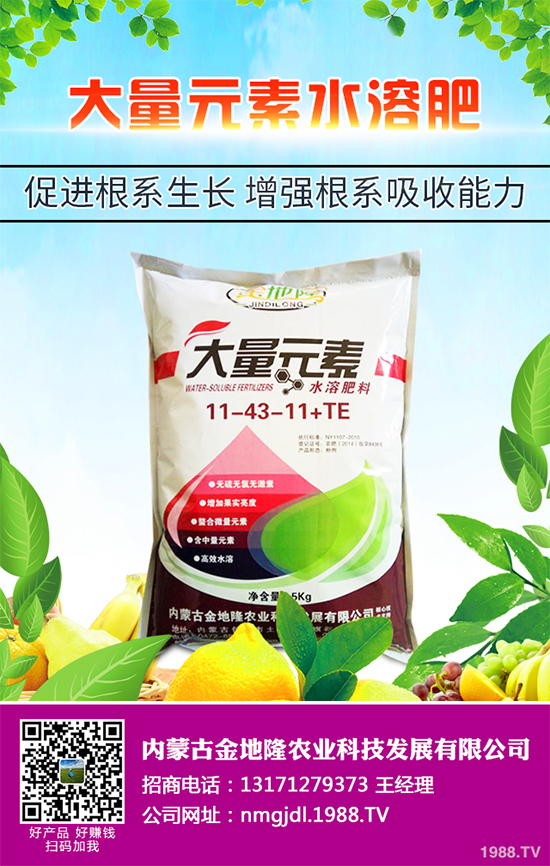 降雪過后,蔬菜大棚你知道該怎么管理嗎?