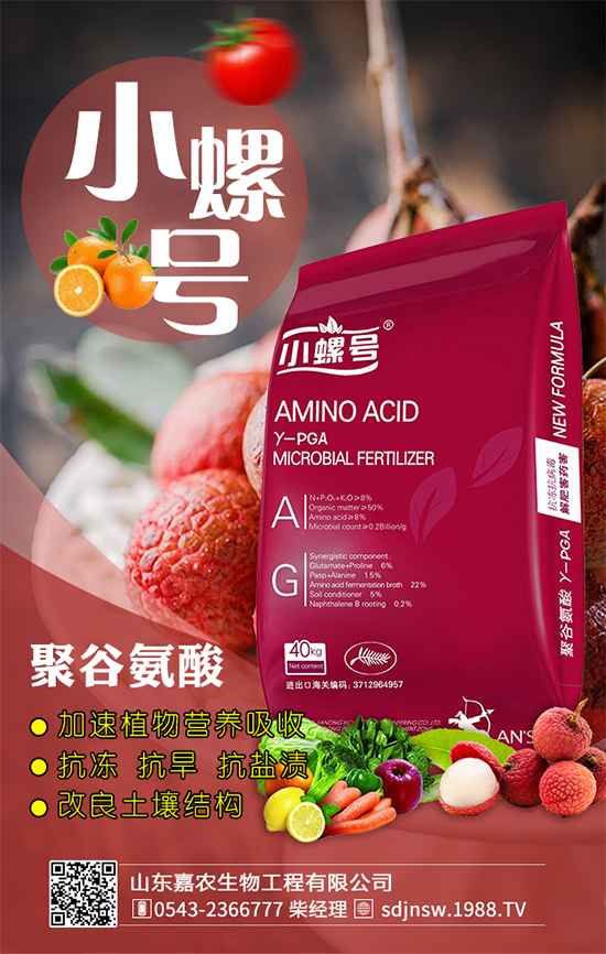 金針菇什么時(shí)間栽培?金針菇生長條件!