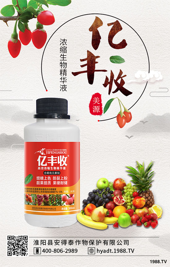 ��֦������ô�޼�����֦�ɺ��޼��ĳ�Ҋ�`�^(q��)��