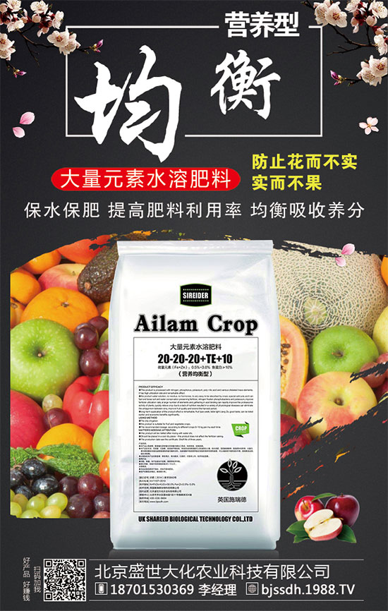 2020��Ԫ���������׷ʃr(ji��)���ϝq�ˆ���2019��12�µ������׷������Ӎ��