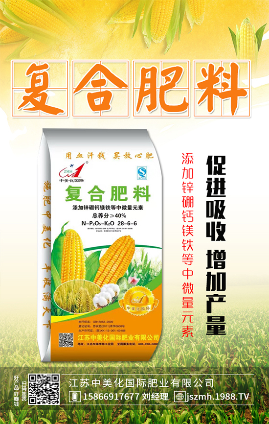 2019��12��31�ս�������(f��)�Ϸʃr������ӑB(t��i)�����