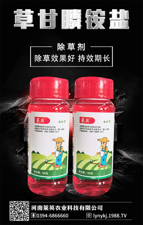 橙子價(jià)格如何?貴么?2020種植橙子賺錢么?種植前景怎么樣?