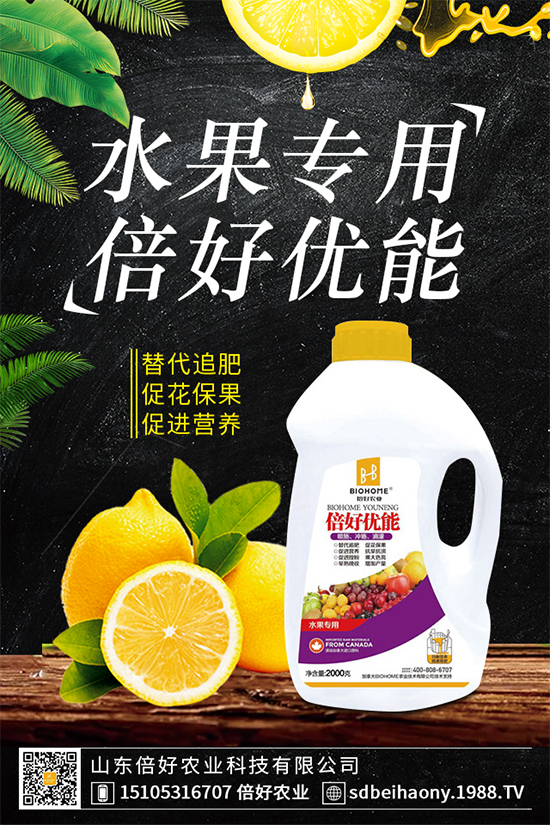 ľ��������Щ�I(y��ng)�B(y��ng)�r(ji��)ֵ��ľ���˵Ĺ�Ч����