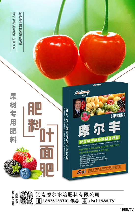 �S���Nֲ���ג겻���X���S���NֲҪ�c������