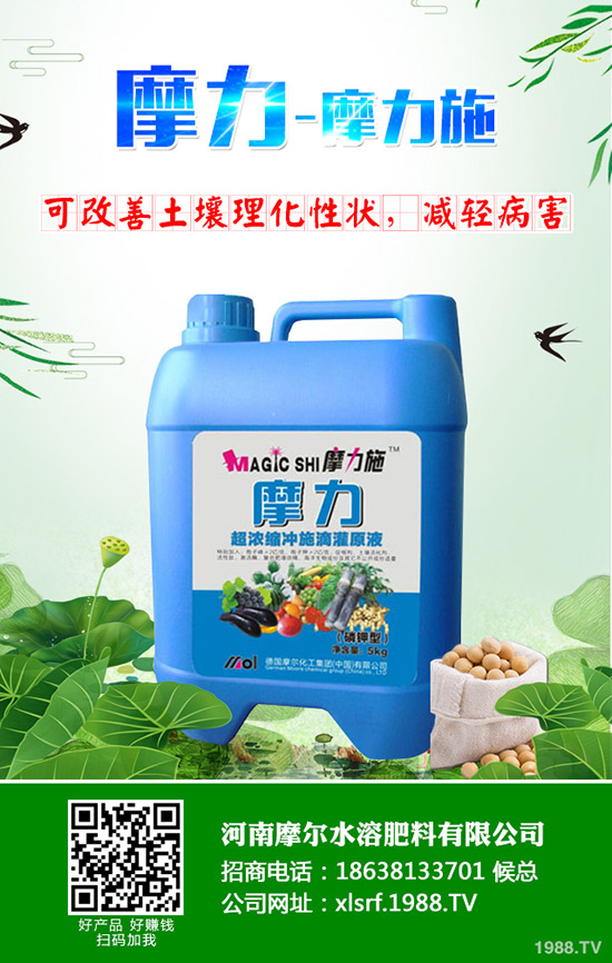 �����ʲô���Ϻ������ʩ�ʼ��g(sh��)����Щ��