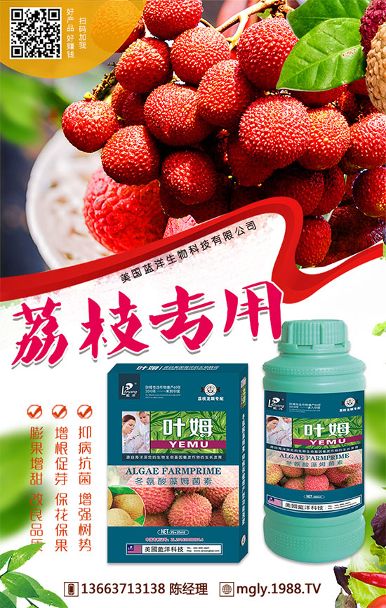 �t�탦(ch��)�ص��������t�탦(ch��)������Щ������