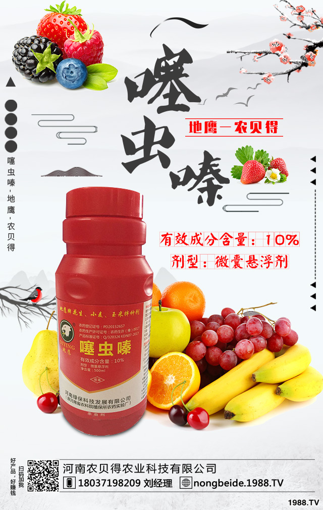 大蔥病害怎么防治?大蔥常見病蟲害防治