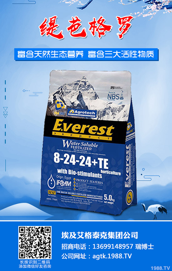 ����ʲô�r�g�������������緽��