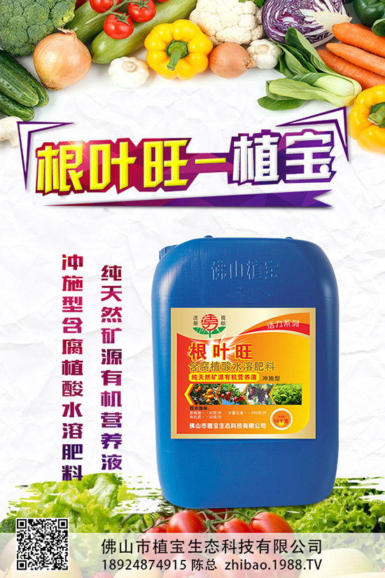 秋蘿卜什么時(shí)候種?該怎么種?2019秋蘿卜種植管理方案