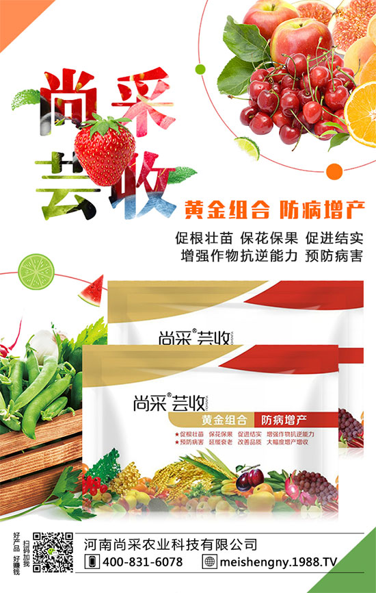 ���������ʵ͵�ԭ����ʲô�أ�������������������