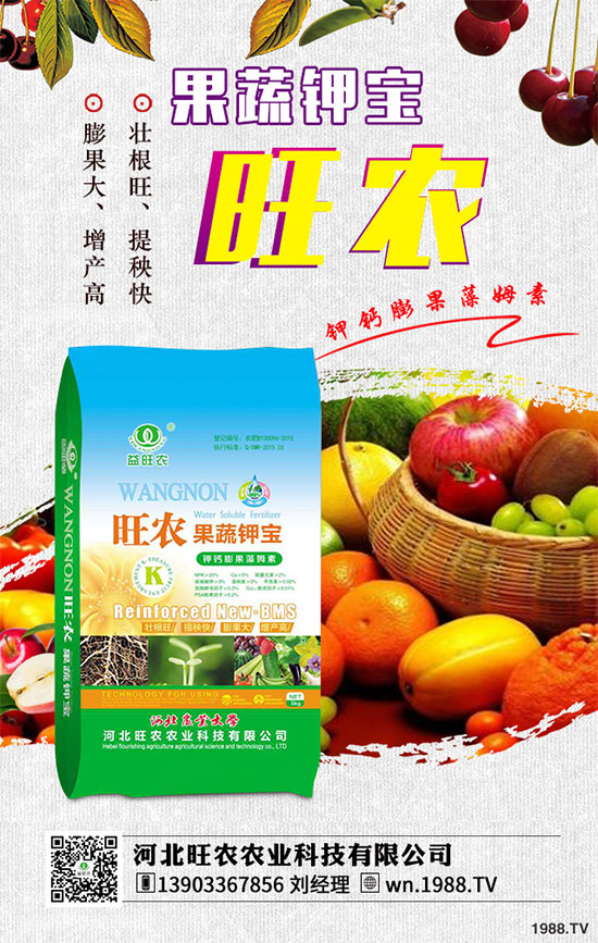 2019��8��26�ս������؃r(ji��)�������Ո�(b��o)����������I(y��)���S�����r(ji��)һ�[