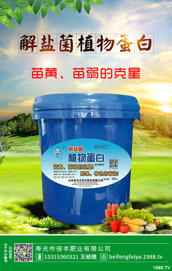 芹菜立枯病時如何引起的?該怎樣預防?芹菜立枯病大預防措施