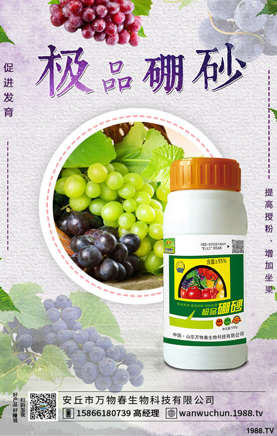 �����ηNֲ����轷Nֲ�l������Щ��