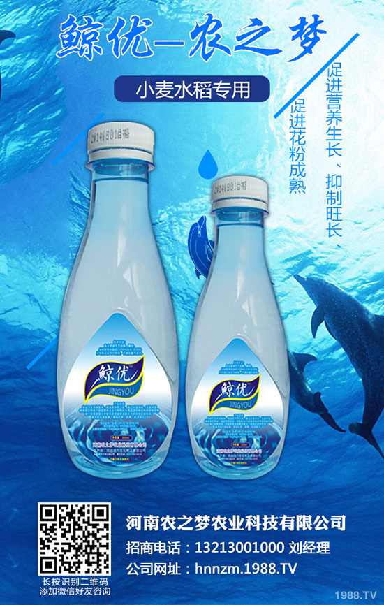 �۲˰߿ݲ�����ЩΣ����ԓ��η������۲˰߿ݲ��İl(f��)���c����