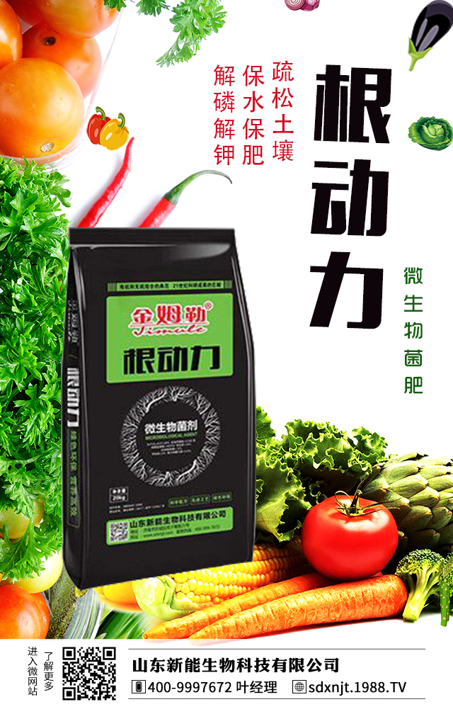 �R��������������νo�R���ʩ�ʣ�