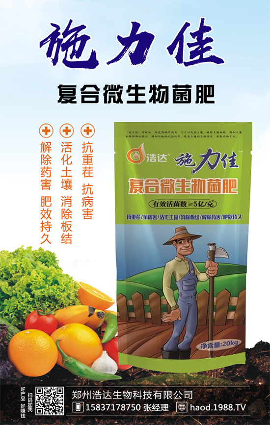 魔芋種植如何實(shí)現(xiàn)高產(chǎn)?魔芋高產(chǎn)栽培管理要點(diǎn)