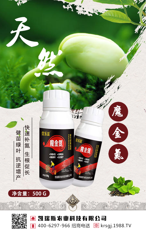 ���@��׷�ʣ��󶹸߮a(ch��n)����