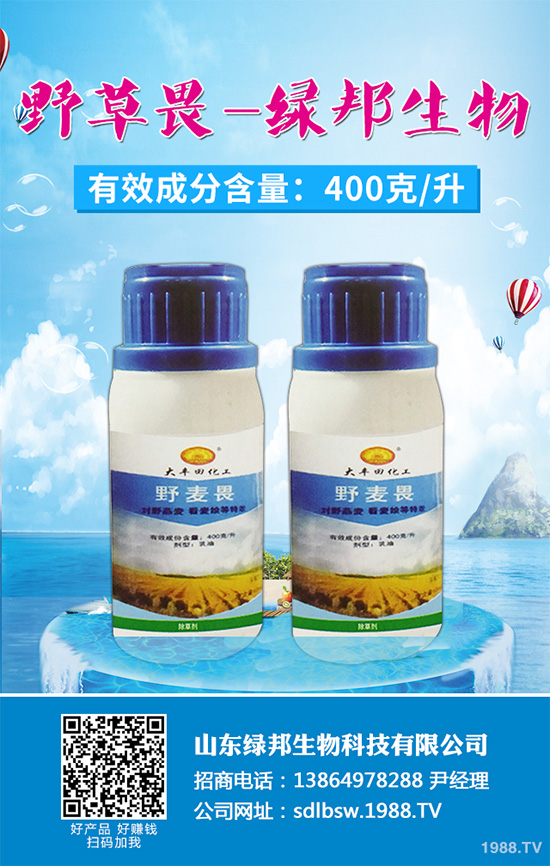 ɣ�@���݄��r(ji��)��