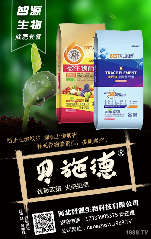 �Nֲ��횿������ǻ�����׷��ʩ�ʷ���