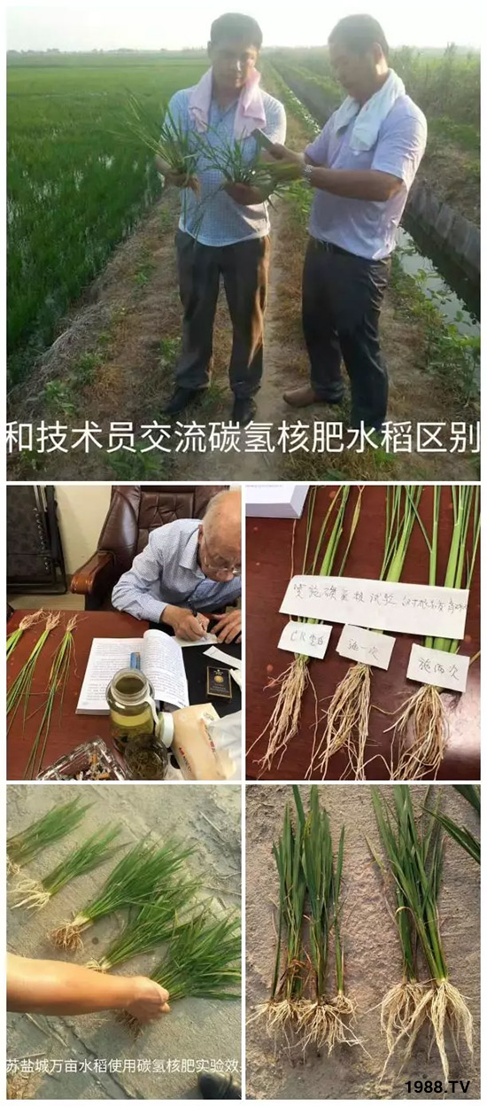 �ϰټ�ý�w��������쳬�^�W��ʳƷ��(bi��o)��(zh��n)���̼��˷ʾ����@ô����