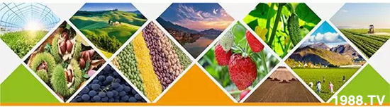 �����������L���߉��������ͷ���Ѹ����������ƌW(xu��)���L���g�޴���