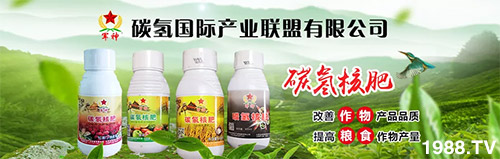 �����������L���߉��£����ͷ���Ѹ������������ƌW(xu��)���L���g�޴�