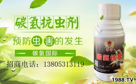 �����������L���߉��������ͷ���Ѹ����������ƌW(xu��)���L���g�޴���