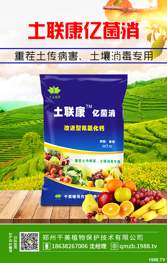     �＾����������ι������＾����������ֲ�������g(sh��)��