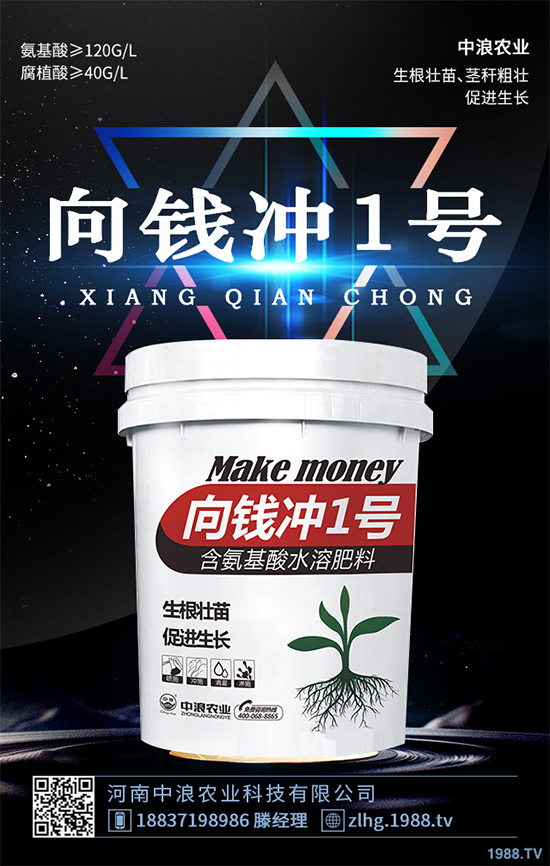 ���ʲô�r��NֲЧ���������˸߮a(ch��n)�Nֲ���g(sh��)Ҫ�c