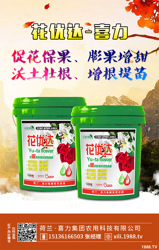 芥菜種植需要注意什么?芥菜高效種植技術(shù)及管理事項(xiàng)
