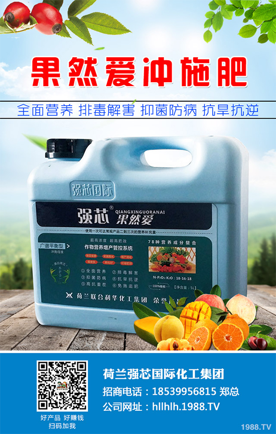 芥菜種植需要注意什么?芥菜高效種植技術(shù)及管理事項(xiàng)