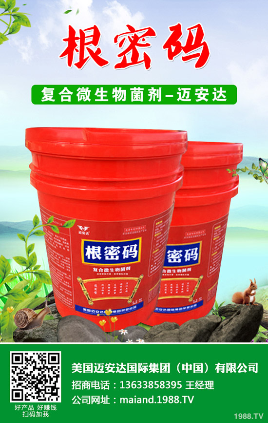 �����Jʲô�r��Nֲ�������J�Nֲ���g(sh��)��