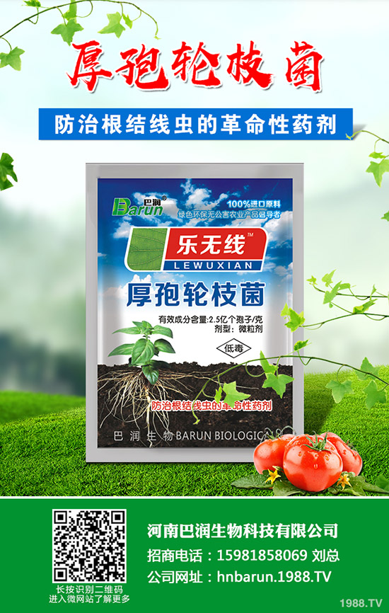 ��֦���~��ô�޼�����֦���~�޼�������