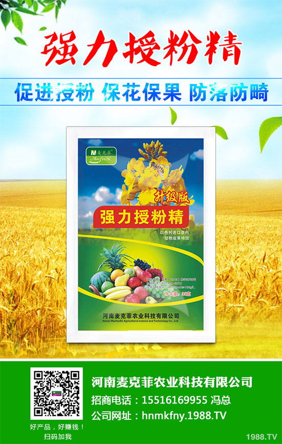 芥菜有哪些營養(yǎng)價(jià)值?吃芥菜有哪些好處?芥菜的功效與作用