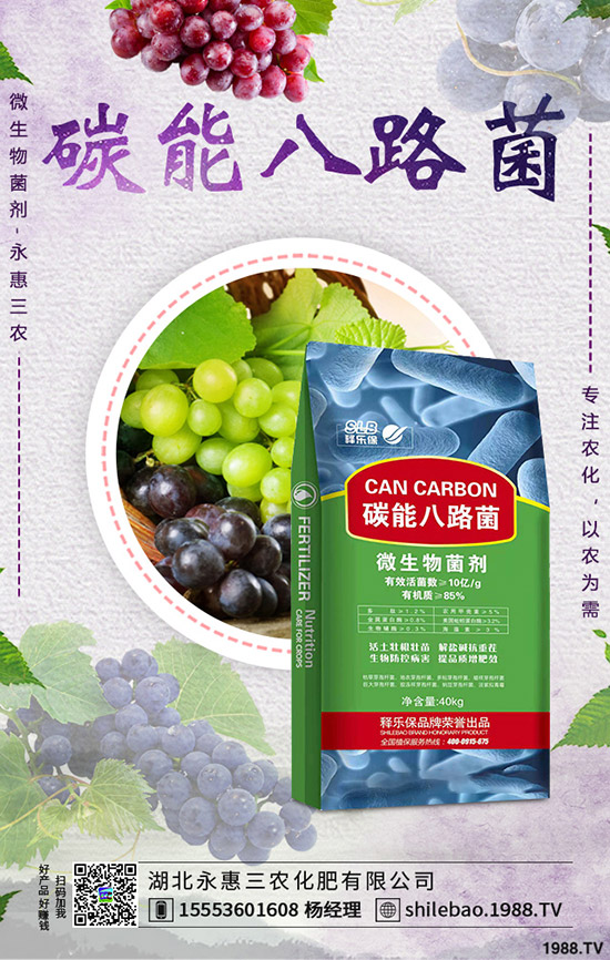 �������ʩ������Ҭ��ʩ�ʕr������Ҭ�˵�ʩ���������g(sh��)���˽�ô��