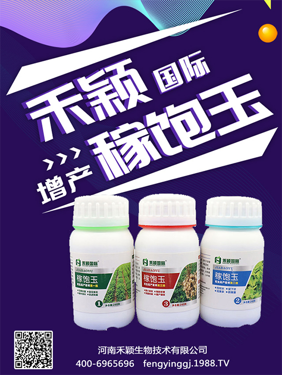 ����Nֲ���ի@�r(sh��)�g������Nֲ�����L�h(hu��n)����