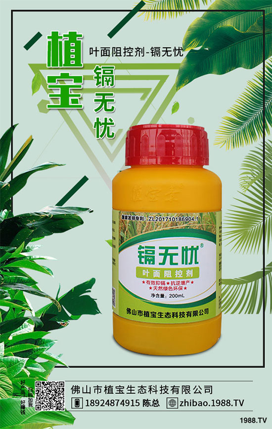 秋季大蔥什么時(shí)間種植?2019秋茬大蔥種植技術(shù)指南