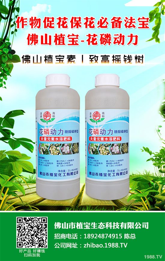 秋季大蔥什么時(shí)間種植?2019秋茬大蔥種植技術(shù)指南