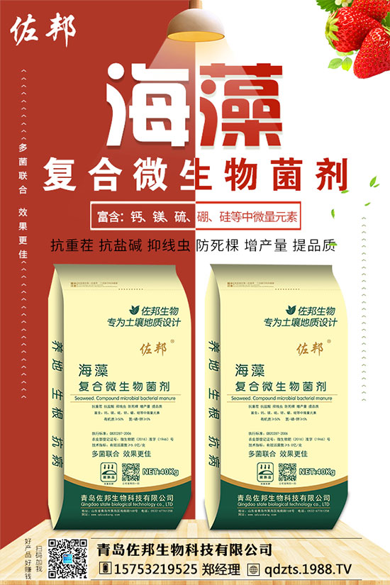 紫薯如何種植?紫薯種植方法和注意事項!