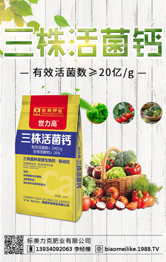 ���S��ʲô�r(sh��)������������S�������ע�����(xi��ng)��