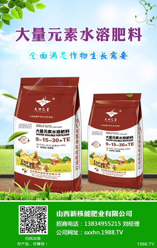     2019��9��17�ս��Շ���(n��i)⛷��Ј�(ch��ng)����r(ji��)��C���u(p��ng)��