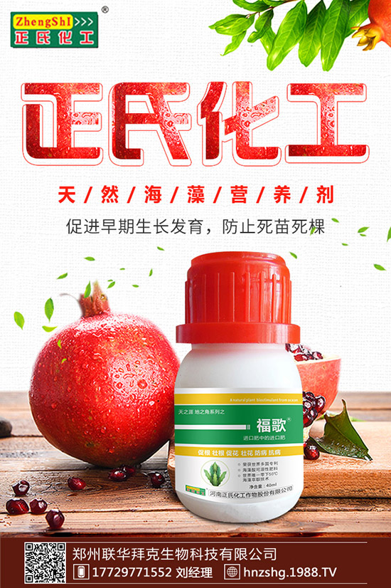 ���y����ʲô���ã����y���Ĺ�Ч�cʳ�ý�����