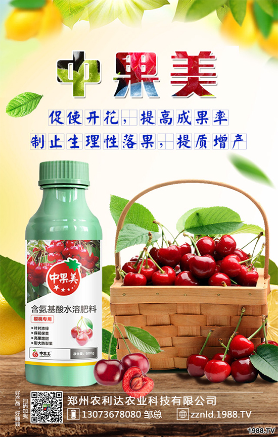 ��ʲô�r��N�Nֲ���𽷷NֲҪ�c��